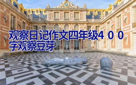 观察日记作文四年级400字观察豆芽