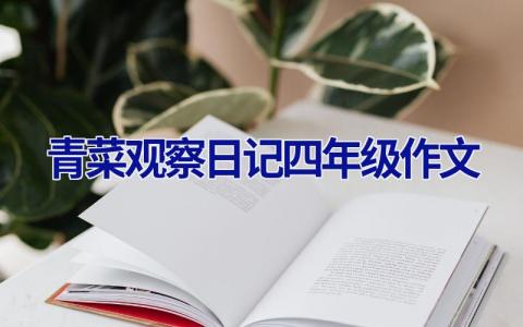 青菜观察日记四年级作文