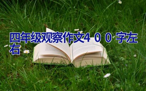 四年级观察作文400字左右