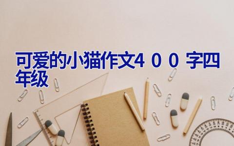 可爱的小猫作文400字四年级