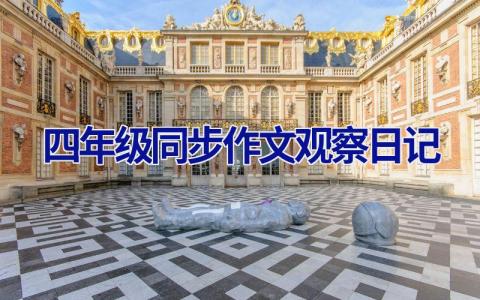 四年级同步作文观察日记
