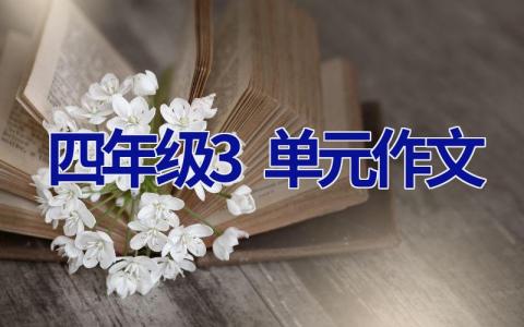 四年级3单元作文