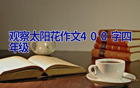 观察太阳花作文400字四年级