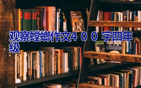 观察螳螂作文400字四年级