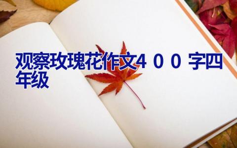观察玫瑰花作文400字四年级