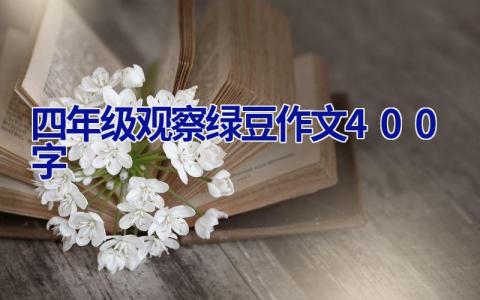 四年级观察绿豆作文400字