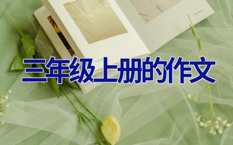 三年级上册的作文