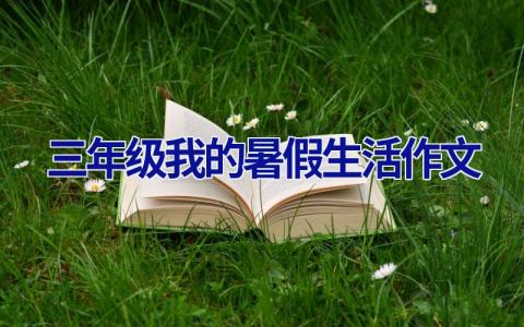 三年级我的暑假生活作文