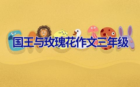 国王与玫瑰花作文三年级