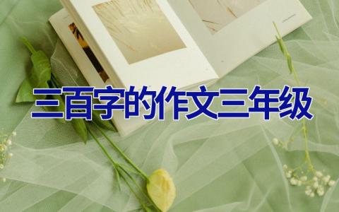三百字的作文三年级