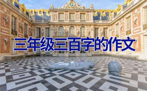 三年级三百字的作文
