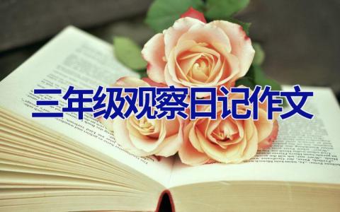 三年级观察日记作文