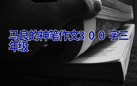 马良的神笔作文300字三年级