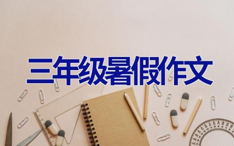 三年级暑假作文
