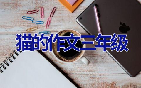 猫的作文三年级