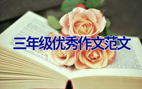 三年级优秀作文范文