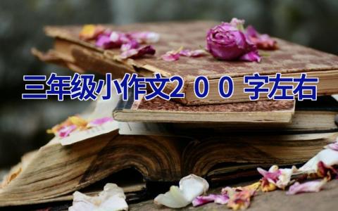 三年级小作文200字左右