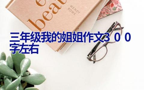 三年级我的姐姐作文300字左右