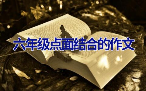 六年级点面结合的作文