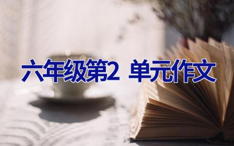 六年级第2单元作文
