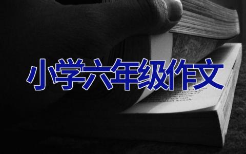小学六年级作文