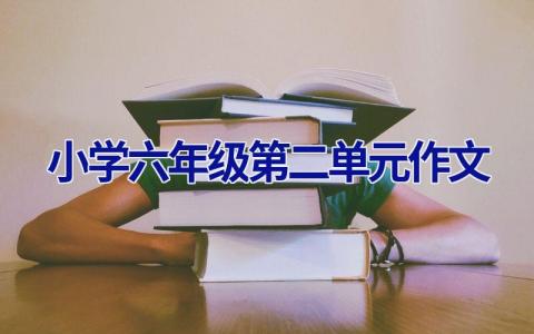 小学六年级第二单元作文