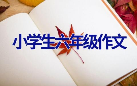 小学生六年级作文