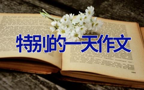 特别的一天作文