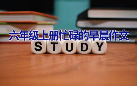 六年级上册忙碌的早晨作文