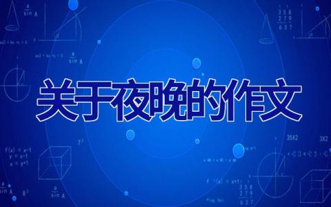 关于夜晚的作文