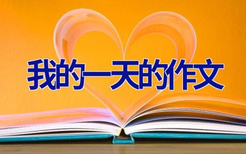 我的一天的作文
