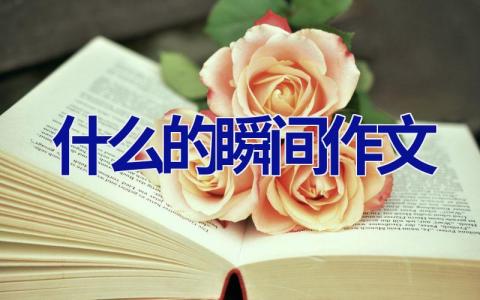 什么的瞬间作文