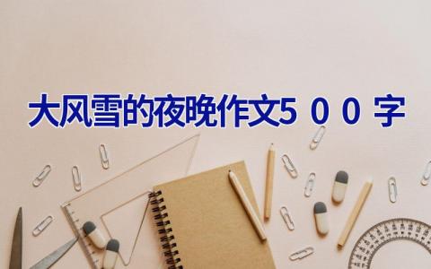 大风雪的夜晚作文500字