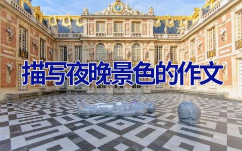 描写夜晚景色的作文