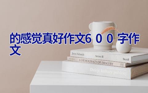 的感觉真好作文600字作文