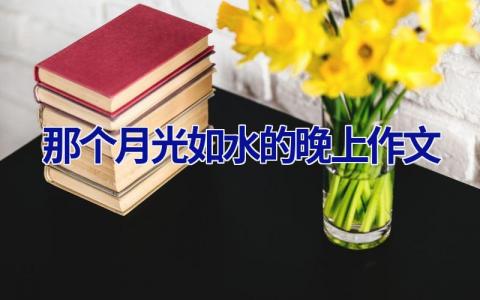 那个月光如水的晚上作文
