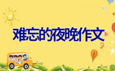 难忘的夜晚作文