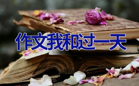 作文我和过一天
