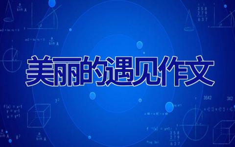 美丽的遇见作文