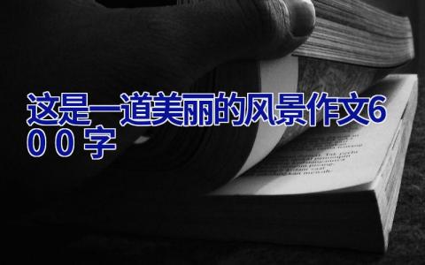 这是一道美丽的风景作文600字