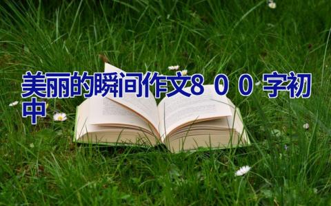 美丽的瞬间作文800字初中