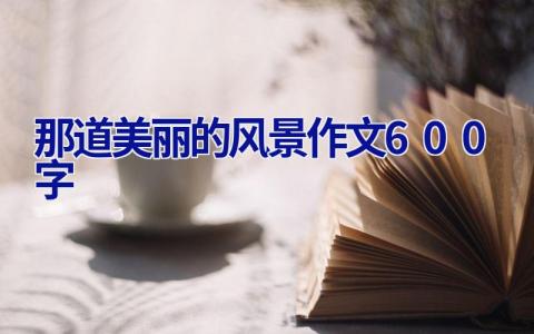 那道美丽的风景作文600字