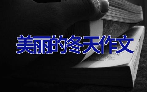 美丽的冬天作文