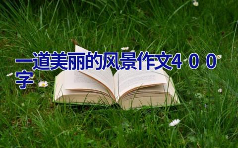 一道美丽的风景作文400字