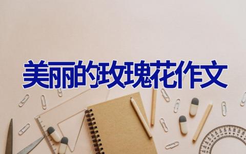 美丽的玫瑰花作文