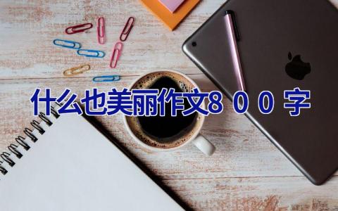 什么也美丽作文800字
