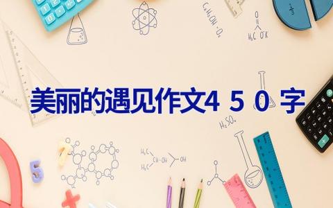美丽的遇见作文450字