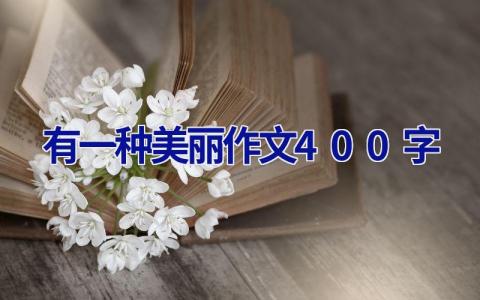有一种美丽作文400字
