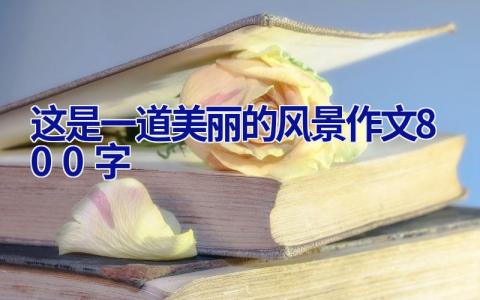 这是一道美丽的风景作文800字
