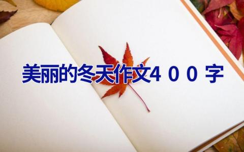 美丽的冬天作文400字